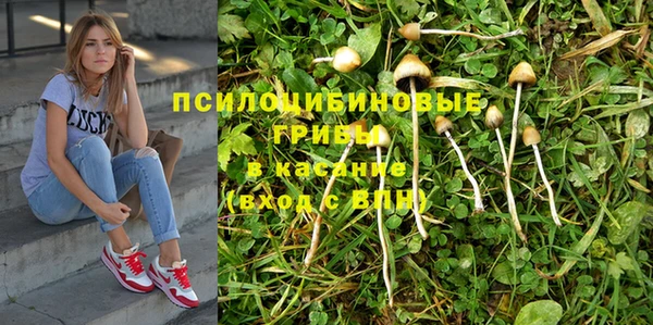 spice Арсеньев