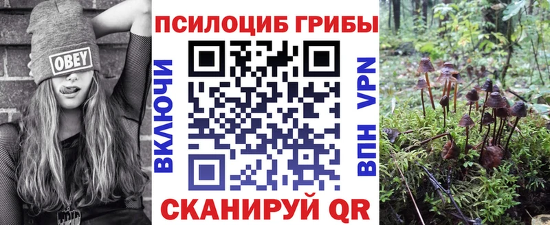 Купить  Усть-Джегута  Псилоцибиновые грибы GOLDEN TEACHER 